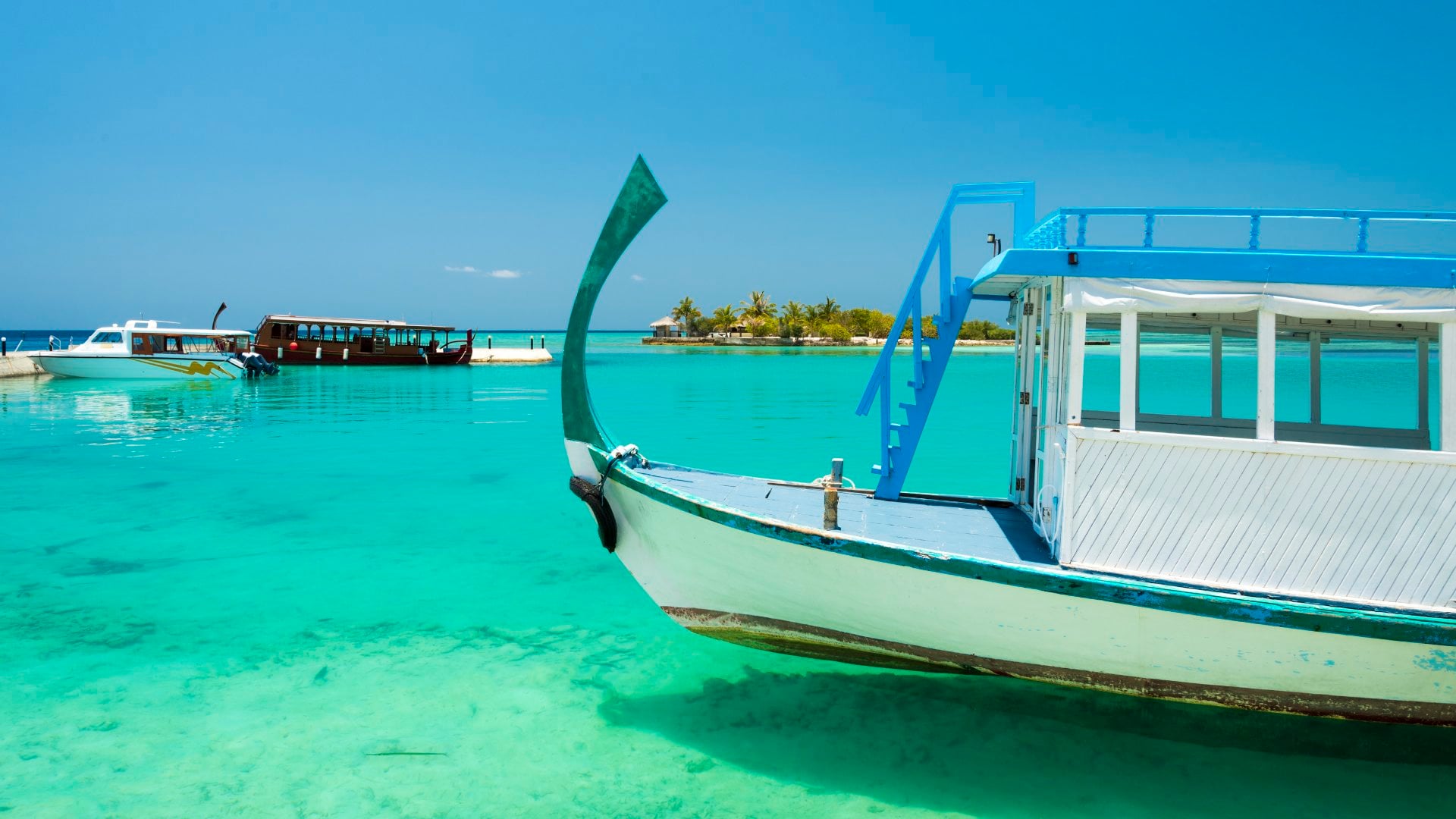 Perfect tropical island Maldives paradise beach Beautiful palm trees and tropical beach